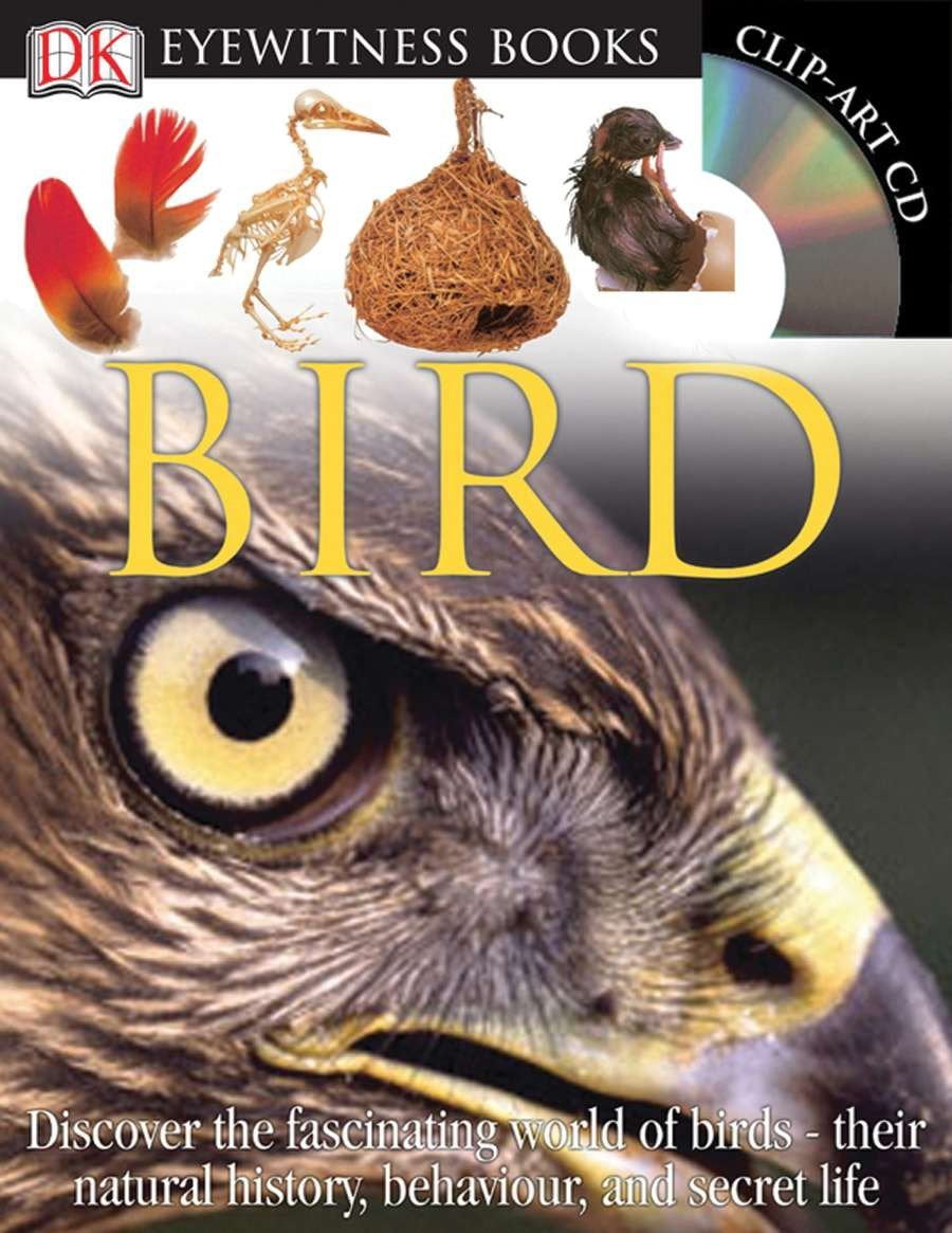 The Natural History Book Dk